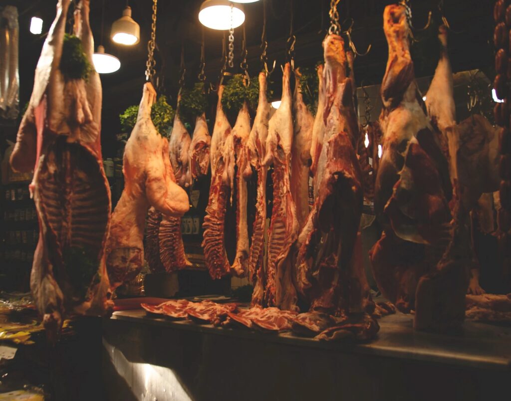 laura-fernandez-fpP2TClWkhw-unsplash